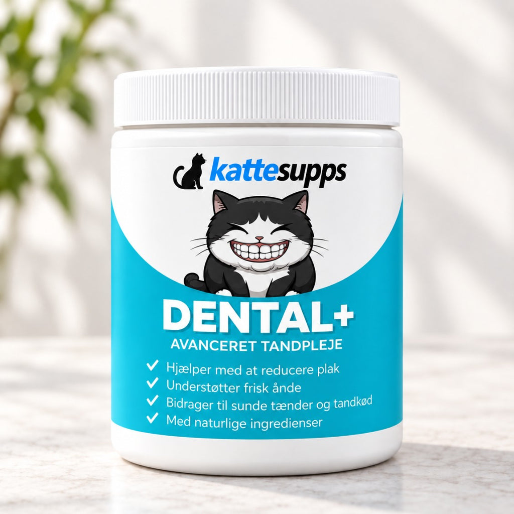 Dental