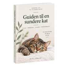 Guiden til en sundere kat